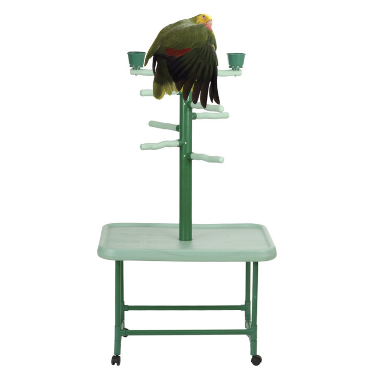 Featherland/Paradise 54'' Plastic Bird Play Stand for Floor & Reviews